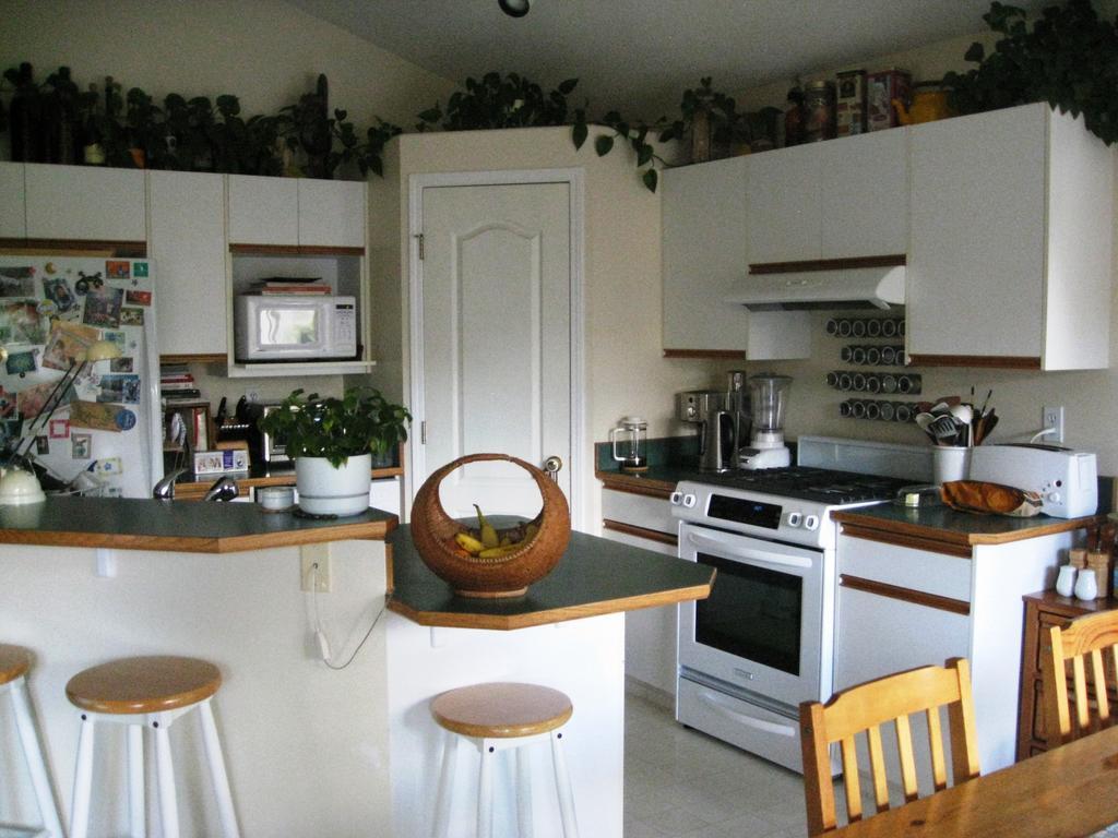 Avens Renaissance B&B Canmore Exteriér fotografie
